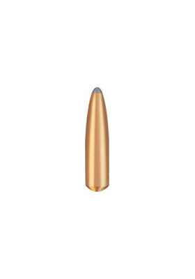 BRENNEKE 30 (308 DIA) BASIC 12G / 185 GR #520237