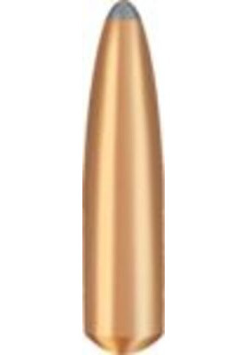 BRENNEKE 30 (308 DIA) BASIC 12G / 185 GR #520237