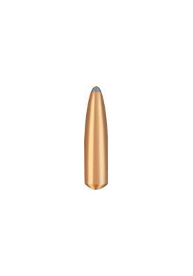 BRENNEKE 30 (308 DIA) BASIC 12G / 185 GR #520237