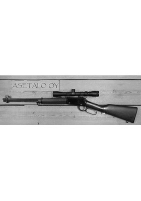 HENRY LEVER ACTION H001 .22LR KÄYTETTY