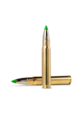 NORMA 9,3X62 ECOSTRIKE 14,9g
