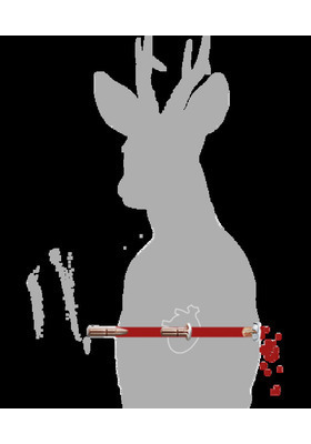 BRENNEKE .375 H&H MAG 17,5G KIV PATR TOG LUODILLA #032236