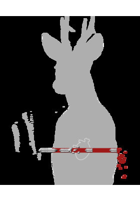BRENNEKE 9,3MM (366 DIA) TUG LUOTI 19G/293GR #570335