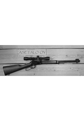 HENRY LEVER ACTION H001 .22LR KÄYTETTY