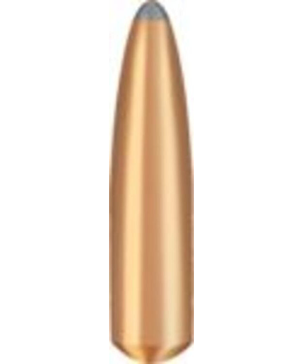 BRENNEKE 30 (308 DIA) BASIC 12G / 185 GR #520237