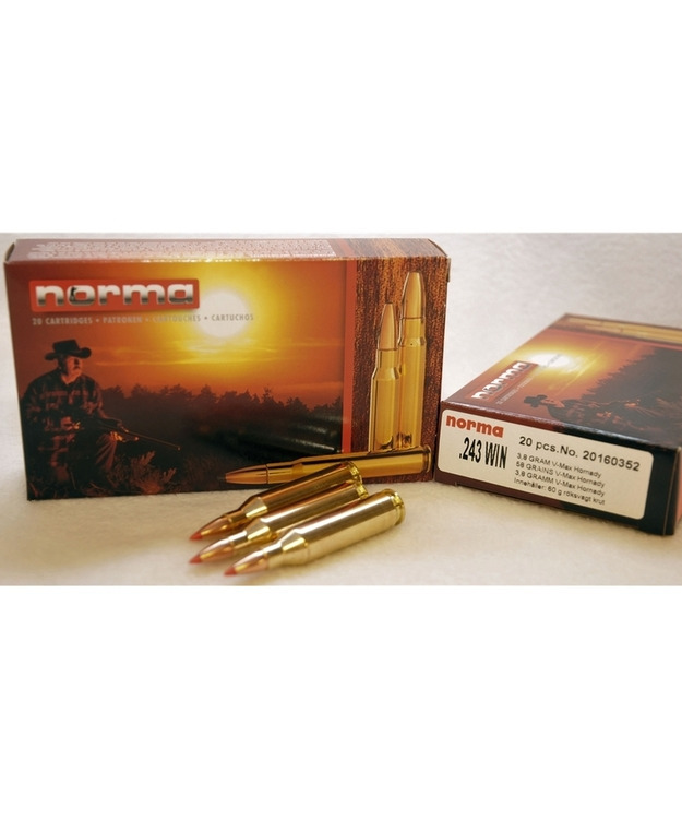 NORMA .243WIN V-MAX 3,8G PATRUUNA #N16035